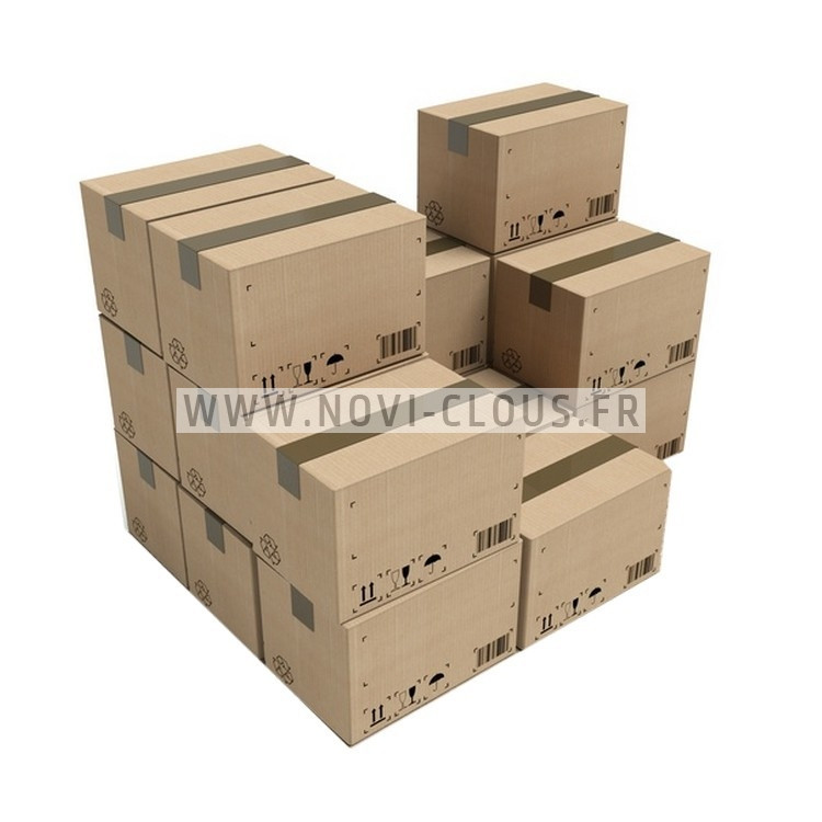 LOT Agrafeuse isolation BOSTITCH SB130S1-2-E + 2180 agrafes BS inox 100mm