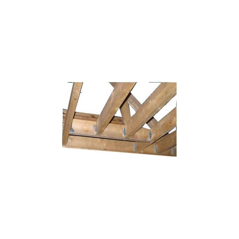 MAX HN65J2  CLOUEUR PNEUMATIQUE HAUTE PRESSION Sabots de Charpente 16° 40-50mm