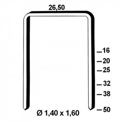 Agrafes W5562 - 32mm Galva