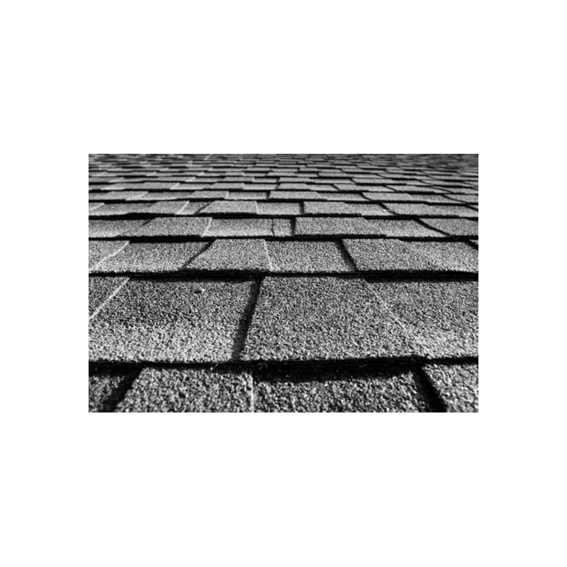 Pointes rouleau "roofing" 3,05x25 Lisse Galva Tête extra-large